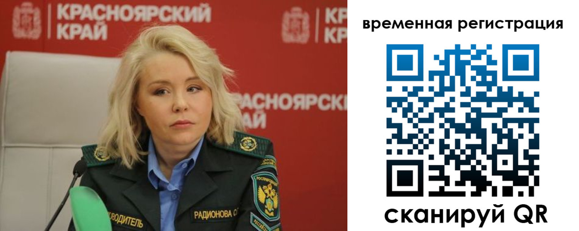 прописка поиск в Ярославской области