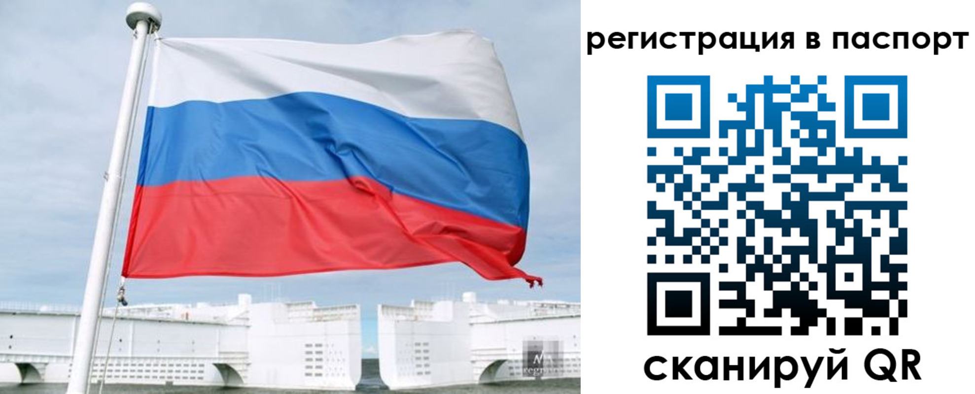 регистрация в Ярославской области